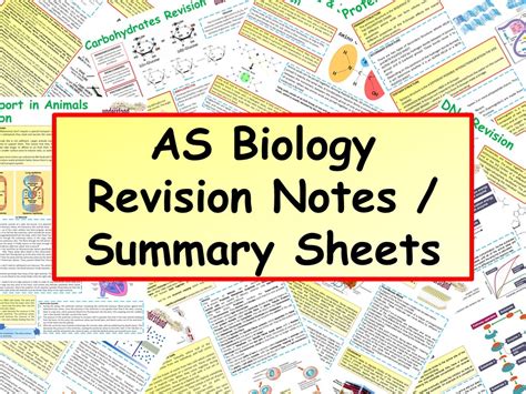 As Biology Revision Notes Summary Sheets Teaching Resources