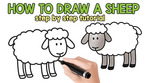 How To Draw A Cartoon Lamb Documentride5