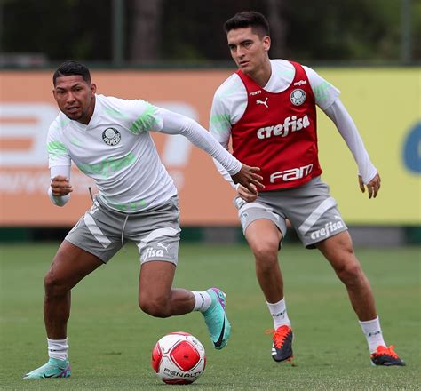 palmeiras faz atividades táticas e segue preparação para o primeiro clássico do ano palmeiras