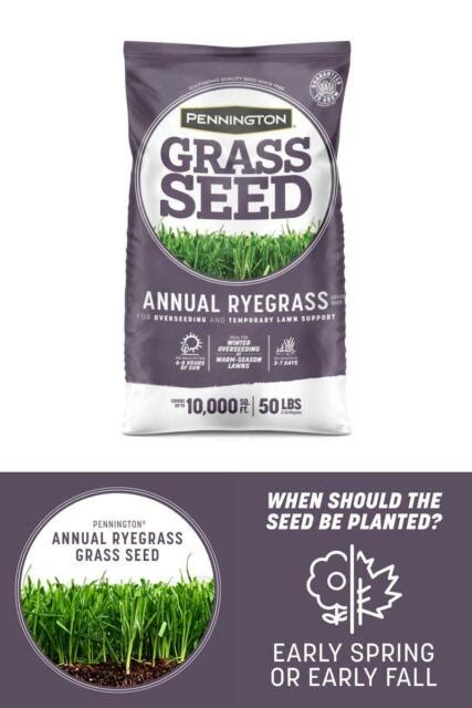 50 Lb Pennington Annual Ryegrass Bulk Bag Lawn Garden Grass Seed For