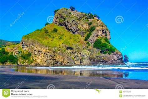 Lion Rock Spiaggia Di Piha Auckland Nuova Zelanda Immagine Stock