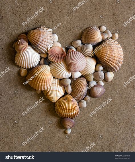 Valentine Heart Made With Shells Stock Photo 23064853 Shutterstock
