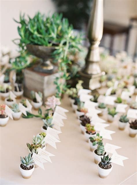 Succulent Bridal Shower With Pictures Succulents Network