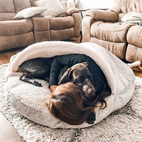 Buy dog beds from aliexpress at an affordable price today! Snoozer Luxury Cozy Cave® Dog Bed | Show Dog | 9 Colors ...