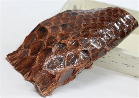 Genuine Brown Python Skin Real Python Leather Brown Etsy Python