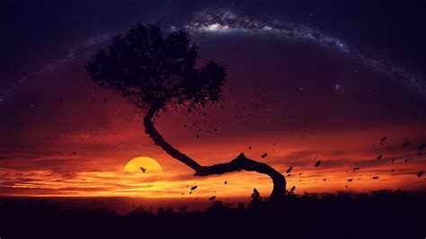 Evening Tree Sunset Digital Art Hd Artist 4k Wallpapers Images