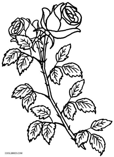This rose is not fully open, still much like a rose bud. Printable Rose Coloring Pages For Kids