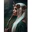 Elves  Wiki Pagans & Witches Amino