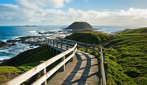 Where To Eat Stay And Play In Phillip Island Australian Traveller