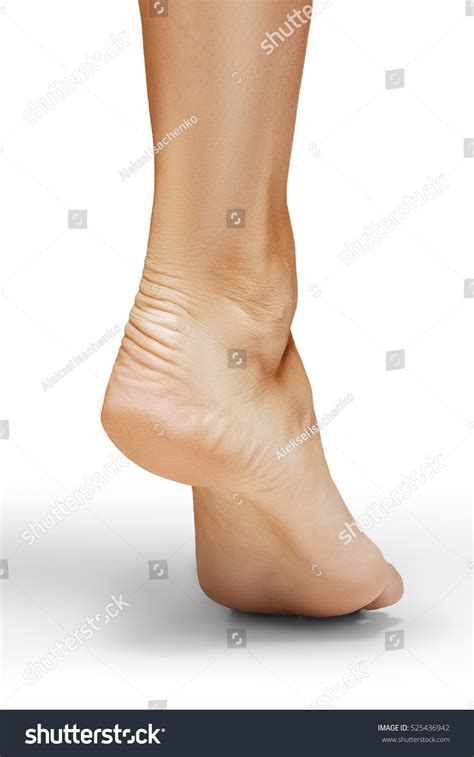 Naked Female Leg On Tip Toe Stock Photo Shutterstock