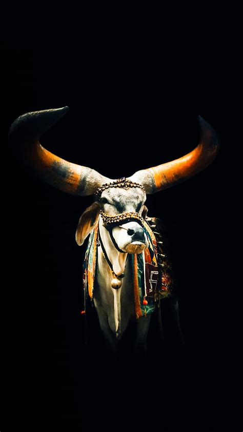 3840x2160px 4k Free Download Nandi Maharaj Bhole Nath Bull