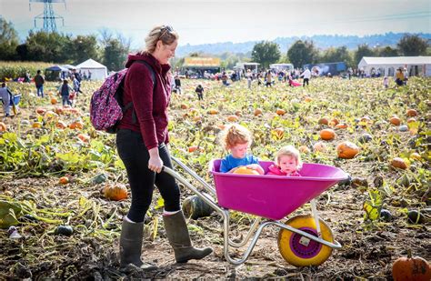 Kent: Pick your own pumpkin farms opening this weekend 2018