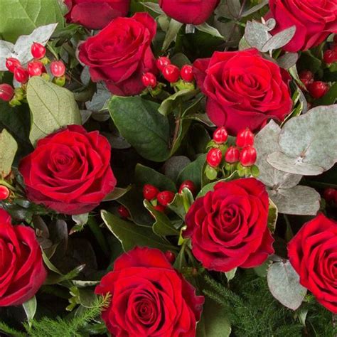 Dozen Long Stemmed Red Roses Skea Flowers Florist Lisnaskea