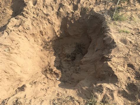 Shanann Watts Crime Scene Photos