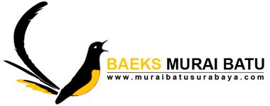 Maybe you would like to learn more about one of these? Burung Murai Batu Png 4 Png Image