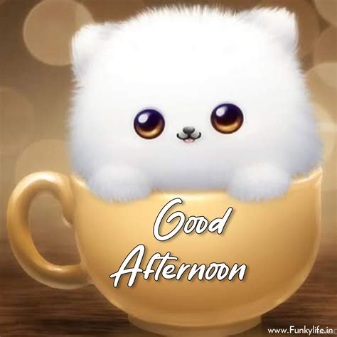 Good Afternoon Images Gone App