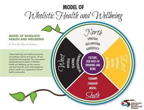 model of wholistic health and wellbeing alliance for healthier communities