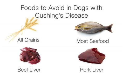 Foods To Avoid In Dogs With Cushings Disease Cushing Disease
