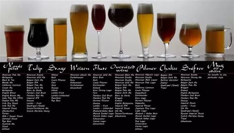24 Different Types Of Beer Glasses Detailed Chart And Descriptions Beer Glassware Beer Glass