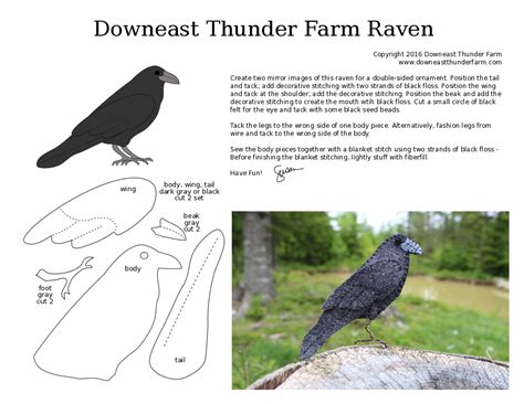 The Common Raven Downeast Thunder Farm