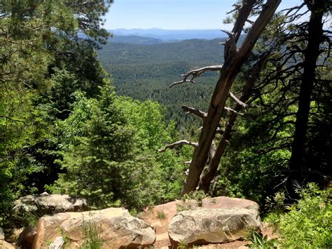 Free Images Tree Forest Rock Wilderness Walking Mountain Trail