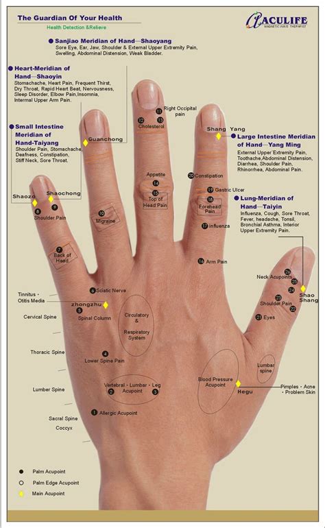 Hand Reflexology Chart Essential Oils And Reflexology Pinterest