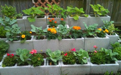 A cinderblock garden can be as simple as placing them in a rectangle and filling in the middle with garden liner and compost! 19 Cool Cinder Block Planters That Everyone Can Make