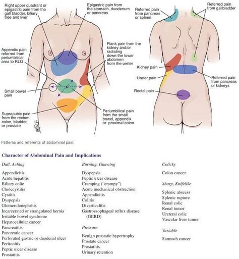Referred Pain Stomach Hot Sex Picture