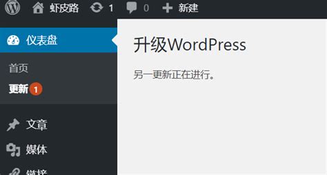 点击wordpress升级后提示“另一更新正在进行”解决办法 搬主题