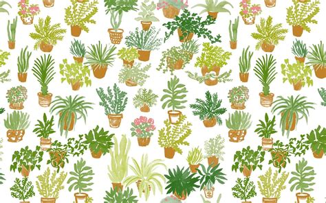 Cute Aesthetic Plants Wallpapers Top Free Cute Aesthetic Plants