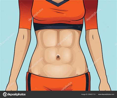 Woman Amazing Abs Toned Abdominal Muscles Stock Vector Image By © 206421710
