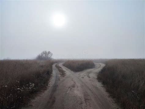 Foggy Day On Fork Dirt Road In Steppe Stock Image Image Of Country