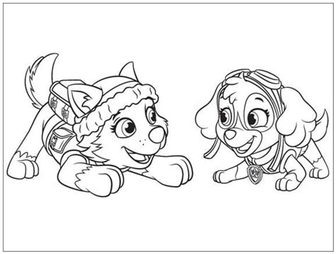 Everest And Skye Paw Patrol Coloring Page Download Print Or Color