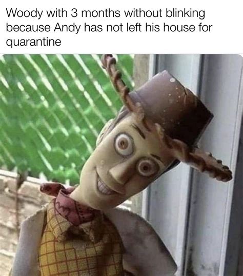 Meme Woody Toy Story