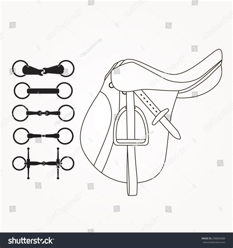 Horseback Riding Elements Saddle Different Types Stock Vector Royalty