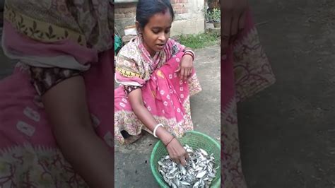 বাজার থেকে টাটকা টাটকা পুটি মাছ আনলাম Youtube