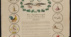 Lithografie, kol.: Die Spassvögel (Spiel) - Bayerisches Nationalmuseum