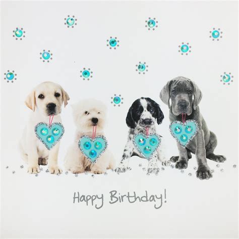 Happy Birthday Images With Puppies Happy Birthday Puppy Puppy