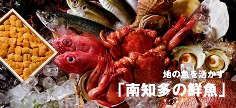 Maybe you would like to learn more about one of these? 南知多の鮮魚 | やぶやグループ | やぶ屋 | とんちゃん | 名古屋