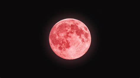 Spirit Matters Viapina Great Big Pink Perigee Syzygy Moonpink