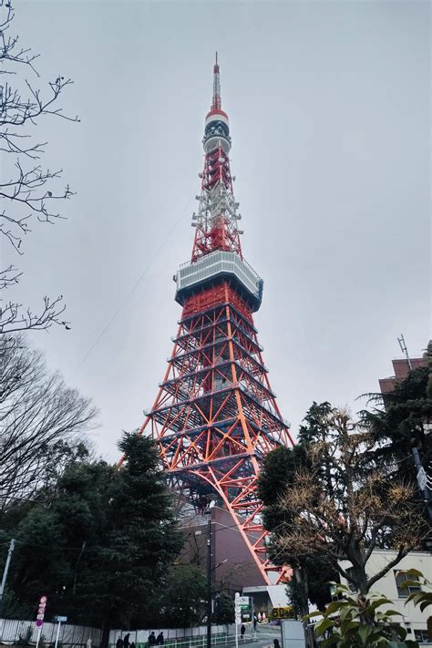 Tokyo Tower From Last January Rjapanpics