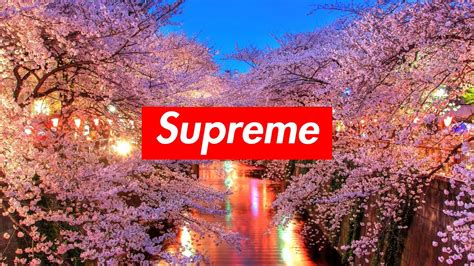 Anime Supreme Pc Wallpapers Wallpaper Cave