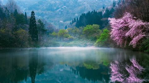 Hd Wallpaper Nature Water Reflection Spring Wilderness Mount