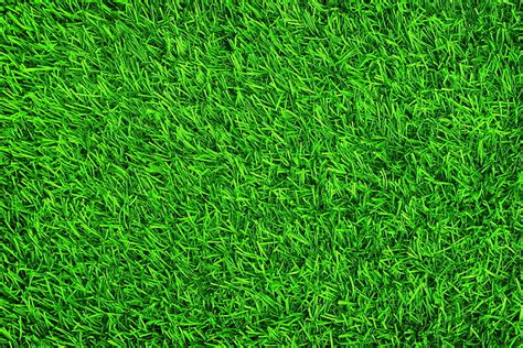 Hd Wallpaper Green Grass Nature Abstract Plants Herb Artificial