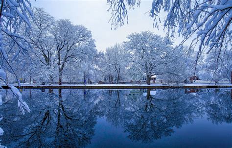 Wallpaper Winter Frost Snow Trees Branches Pond Park Reflection