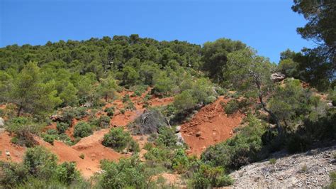 Photo Forest On The Slopes Of The St Victoire Mountain By Le Tholonet