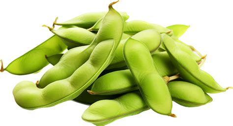Edamame Png With Ai Generated 26773888 Png