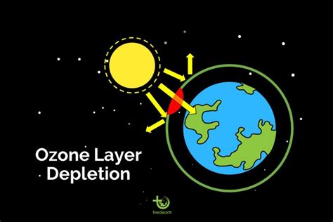 Tiredearth Health And Environmental Effects Of Ozone Layer Depletion