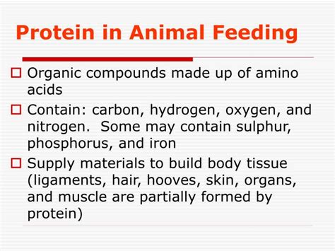 Ppt Protein In Animal Feeding Powerpoint Presentation Free Download