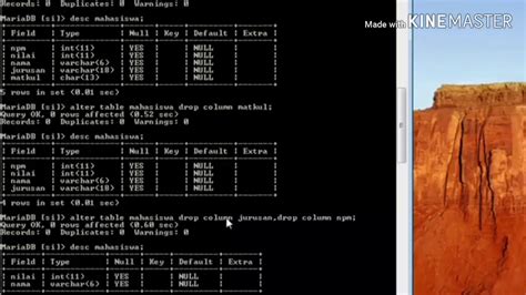 Membuat Database Untuk Web Cms Dengan Mysql Sipintek Com My XXX Hot Girl